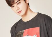 Profil Cha Eun Woo Biodata lengkap dengan Agamanya
