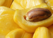 Arti Mimpi Buah Nangka Menurut Islam: Tafsir Keberuntungan dan Kebahagiaan