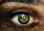 Arti Mimpi Dajjal Keluar Menurut Islam: Pertanda Hari Kiamat atau Ujian Besar?