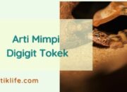 Arti Mimpi Digigit Tokek Menurut Islam: Tanda Gangguan yang Tidak Terduga?