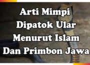 Arti Mimpi Digigit Lipan Menurut Islam: Pertanda Bahaya Tersembunyi atau Konflik?