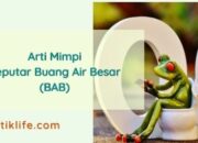 Arti Mimpi Buang Air Besar di WC Menurut Islam: Simbol Privasi dan Pembersihan