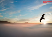 Arti Mimpi Dikasih Burung Sama Orang Menurut Islam: Simbol Rezeki atau Peluang dari Orang Lain?