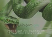 Arti Mimpi Dikejar Ular Putih Menurut Islam: Simbol Kesucian atau Ketakutan Spiritual?