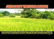 Arti Mimpi di Sawah Menurut Islam: Makna Kerja Keras dan Kemakmuran?