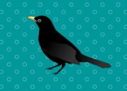 Arti Mimpi Didatangi Burung Gagak Hitam Menurut Islam: Tanda Misteri atau Bahaya?