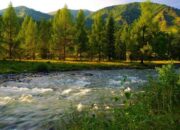 Arti Mimpi Berjalan Di Kegelapan Menurut Islam: Apa Maknanya?