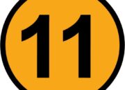 11 Mata Hewan Paling Ajaib di Dunia dari Kotak sampai 3D Vision