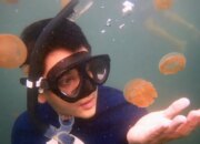 Cuma Kera Ngalam yang Ngerti! Fenomena Lokal yang Ikonik Banget