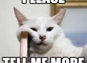 Meme Tahu Bulat yang Bikin Kamu Galau Antara Laper & Ketawa