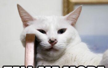 Meme Kocak Song Joong Ki Buat Kamu yang Lagi Kangen Berat