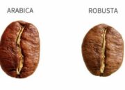 Beda Kopi Arabika dan Robusta Mana yang Lebih Nikmat?