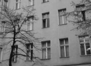 155 Nama Boneka Lucu Buat Cewek – Pilihannya Banyak Banget!