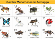 Macam-Macam Istilah Buang Air di Indonesia Kreatif Banget!