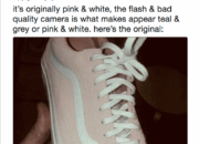 Warganet Ribut Gara-gara Warna Sepatu Ini: Padahal yang Benar Adalah…