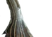 Mitos Warna Ungu: Dari Mistis Hingga Filosofis